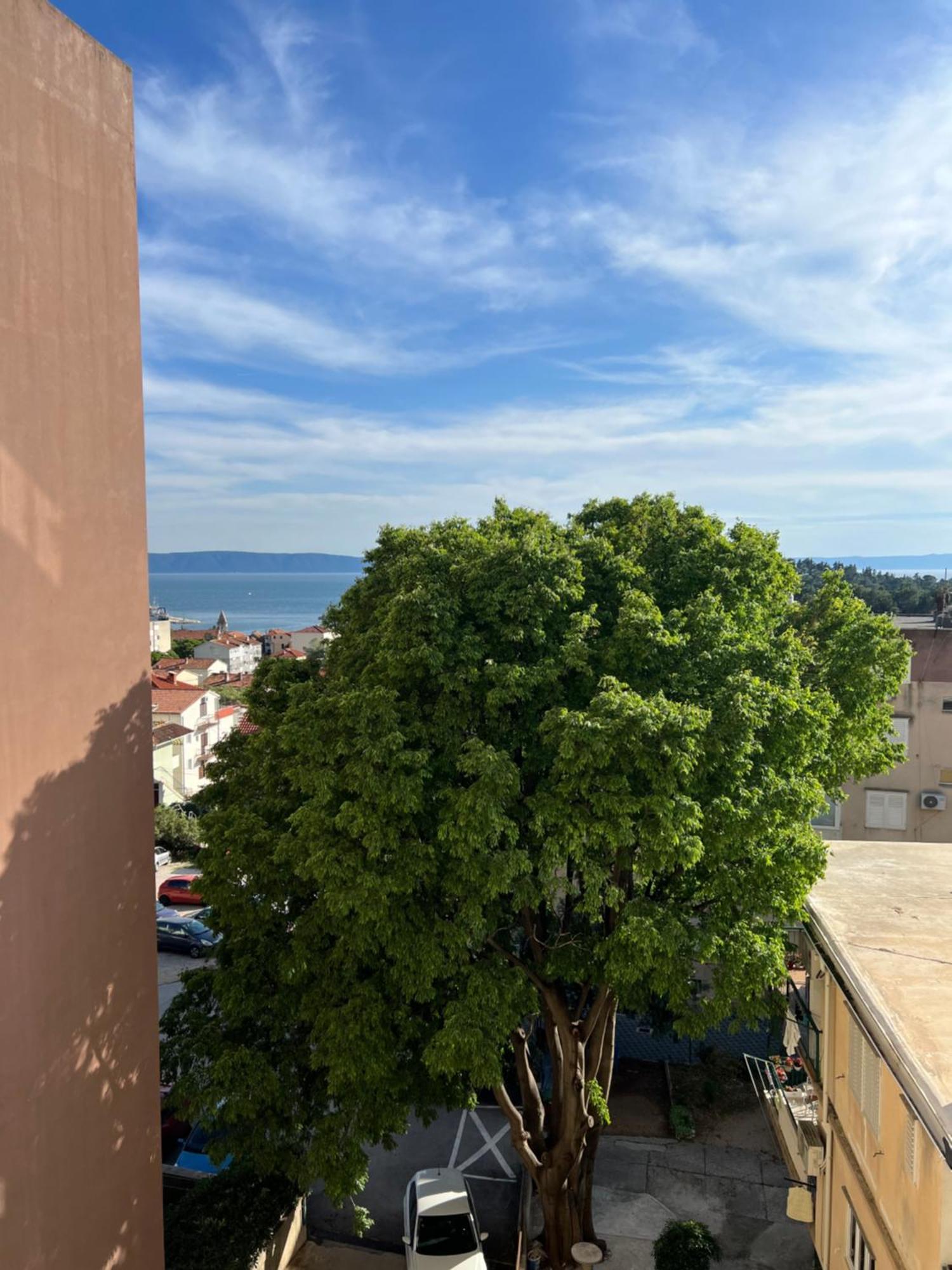 City Center Apartment Twiggy Makarska Eksteriør billede
